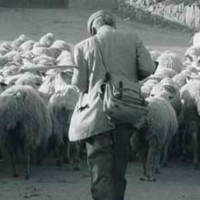 Foto/Imagem Bem Aventurado o que Espera Estudos Biblicos