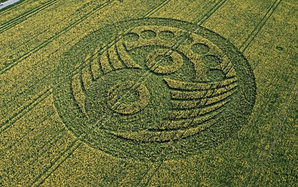 GOSPEL Foto/Imagem Círculos gigantes voltam a aparecer na Inglaterra Noticia Mundo