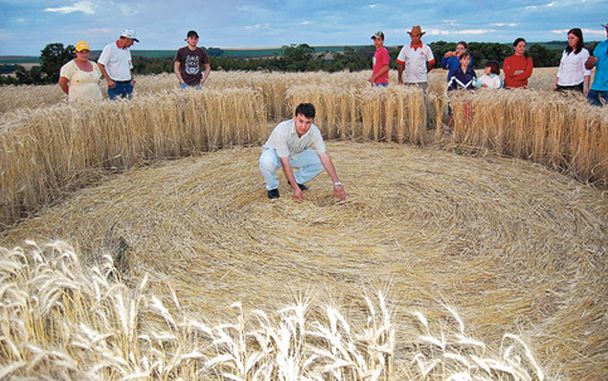 GOSPEL Foto/Imagem Círculos gigantes voltam a aparecer na Inglaterra Noticia Mundo