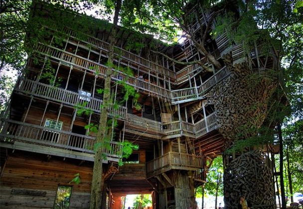 A maior casa de árvore do mundo A maior casa de árvore do mundo