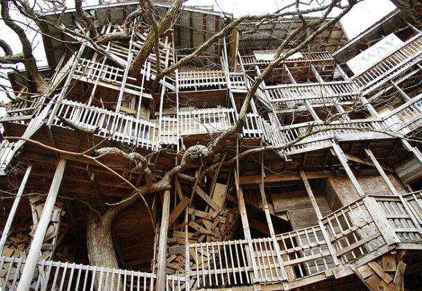 A maior casa de árvore do mundo A maior casa de árvore do mundo