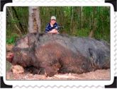 Foto/Imagem É Pecado Comer Carne de Porco? Estudo Biblico Foto/Imagem É Pecado Comer Carne de Porco? Estudo Biblico